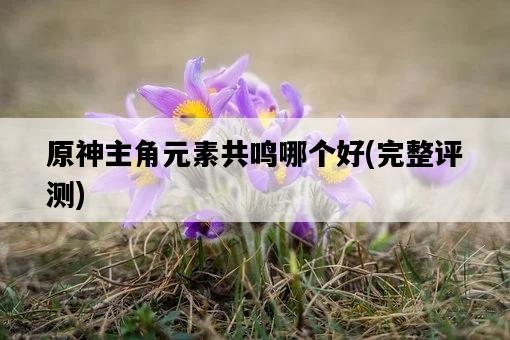 原神主角元素共鳴哪個好，完整評測-圖1