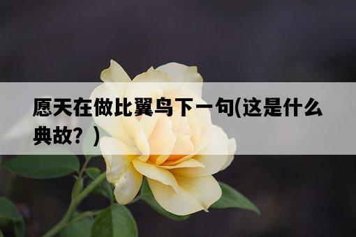 愿天在做比翼鳥下一句，這是什么典故？-圖1