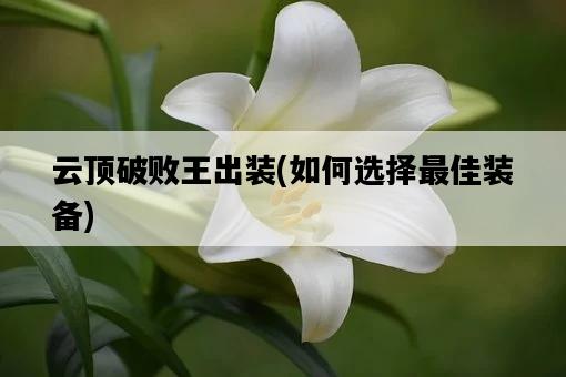 云頂破敗王出裝，如何選擇最佳裝備-圖1