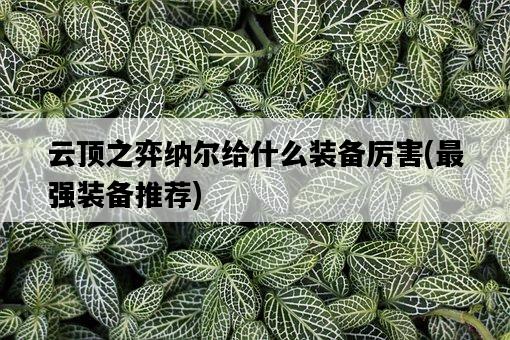 云頂之弈納爾給什么裝備厲害，最強裝備推薦-圖1