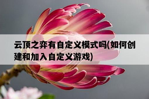 云頂之弈有自定義模式嗎,如何創建和加入自定義游戲-圖1 云頂之弈有自定義模式嗎,如何創建和加入自定義游戲-圖1