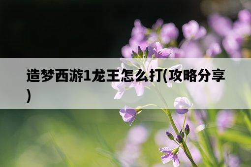 造夢西游1龍王怎么打，攻略分享-圖1