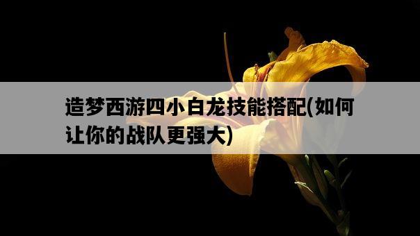 造夢西游四小白龍技能搭配，如何讓你的戰隊更強大-圖1