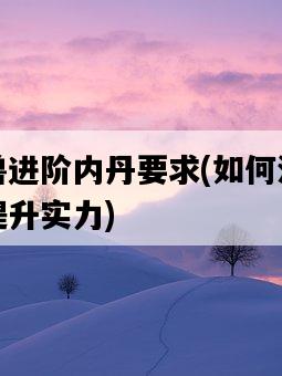 召喚獸進階內丹要求，如何滿足要求并提升實力-圖1