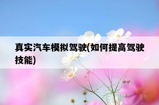 真實汽車模擬駕駛，如何提高駕駛技能-圖1