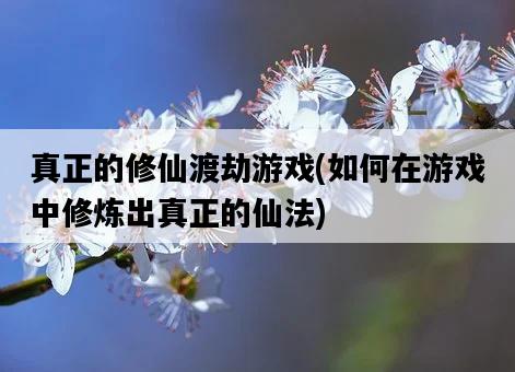真正的修仙渡劫游戲,如何在游戲中修煉出真正的仙法-圖1 真正的修仙渡劫游戲,如何在游戲中修煉出真正的仙法-圖1