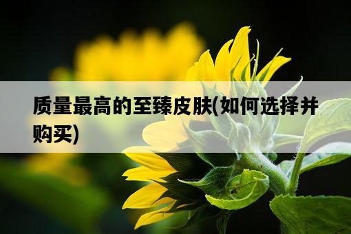 質量最高的至臻皮膚，如何選擇并購買-圖1