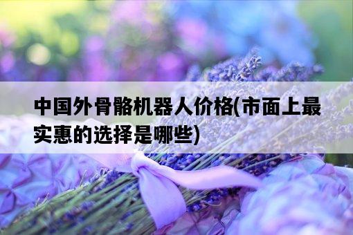 中國外骨骼機器人價格，市面上最實惠的選擇是哪些-圖1