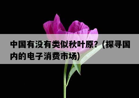 中國有沒有類似秋葉原？，探尋國內的電子消費市場-圖1
