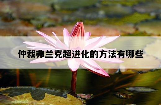 仲裁弗蘭克超進化的方法有哪些-圖1
