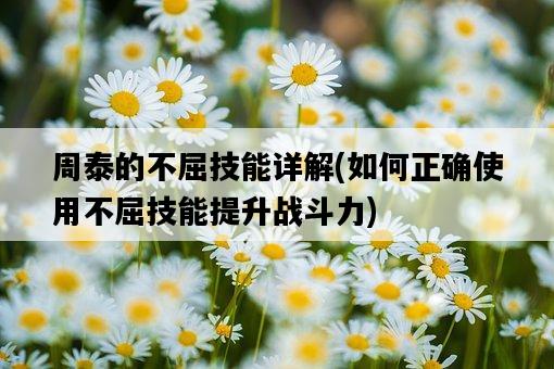 周泰的不屈技能詳解，如何正確使用不屈技能提升戰斗力-圖1