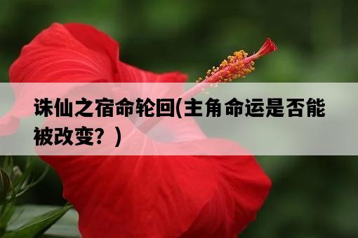 誅仙之宿命輪回，主角命運是否能被改變？-圖1