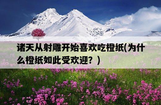 諸天從射雕開始喜歡吃橙紙，為什么橙紙如此受歡迎？-圖1