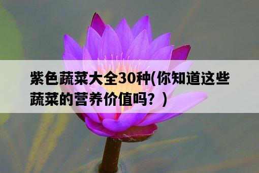 紫色蔬菜大全30種，你知道這些蔬菜的營養價值嗎？-圖1