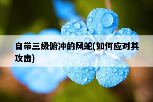 自帶三級俯沖的風蛇，如何應對其攻擊-圖1