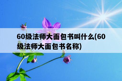 60級法師大面包書叫什么，60級法師大面包書名稱-圖1