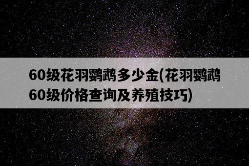 60級花羽鸚鵡多少金，花羽鸚鵡60級價格查詢及養殖技巧-圖1