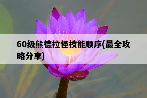 60級熊德拉怪技能順序，最全攻略分享-圖1