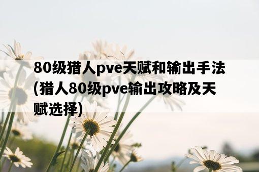 80級獵人pve天賦和輸出手法，獵人80級pve輸出攻略及天賦選擇-圖1