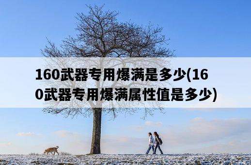 160武器專用爆滿是多少，160武器專用爆滿屬性值是多少-圖1