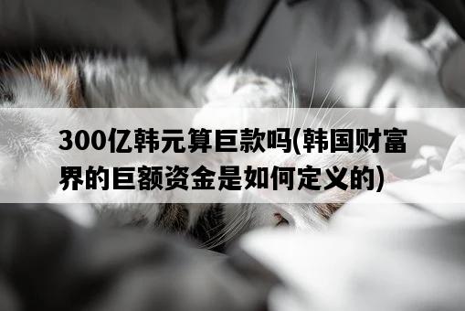 300億韓元算巨款嗎，**財富界的巨額資金是如何定義的-圖1