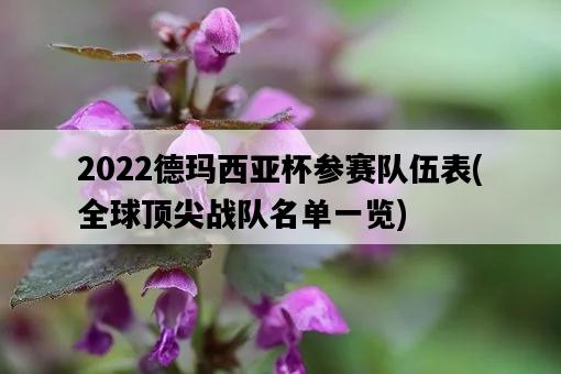 2022德瑪西亞杯參賽隊伍表，全球頂尖戰隊名單一覽-圖1