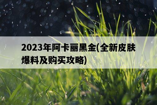 2023年阿卡麗黑金，全新皮膚爆料及購買攻略-圖1