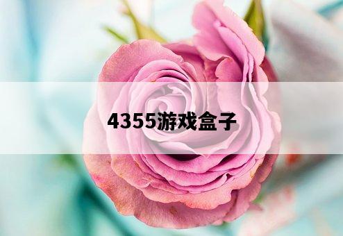 4355游戲盒子-圖1