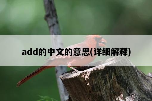 add的中文的意思，詳細解釋-圖1