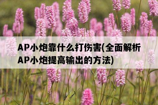 AP小炮靠什么打傷害，全面解析AP小炮提高輸出的方法-圖1