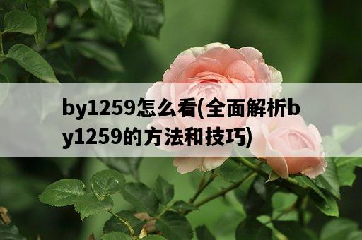 by1259怎么看，全面解析by1259的方法和技巧-圖1
