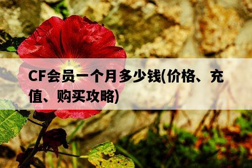 CF會員一個月多少錢，價格、充值、購買攻略-圖1