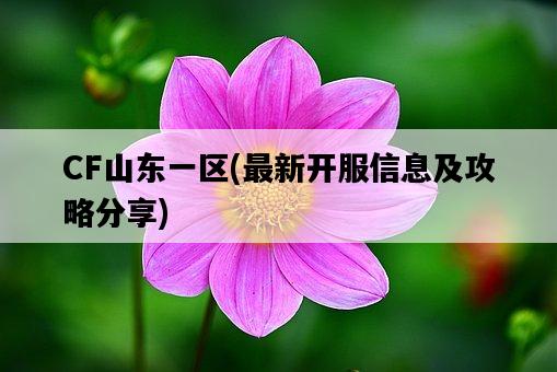 CF山東一區，最新開服信息及攻略分享-圖1