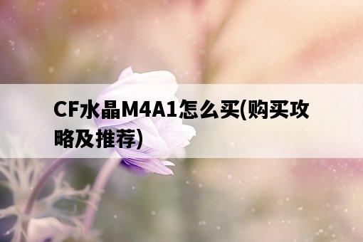 CF水晶M4A1怎么買，購買攻略及推薦-圖1
