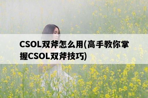 CSOL雙斧怎么用，高手教你掌握CSOL雙斧技巧-圖1