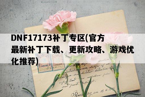 DNF17173補丁專區，官方最新補丁下載、更新攻略、游戲優化推薦-圖1