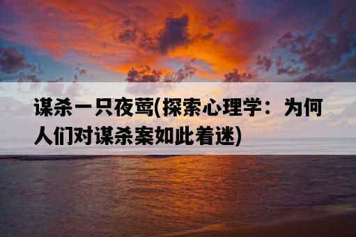 謀殺一只夜鶯，探索心理學：為何人們對謀殺案如此著迷-圖1