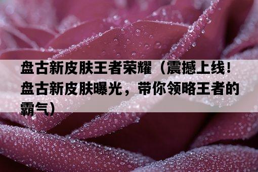 盤古新皮膚王者榮耀（震撼上線！盤古新皮膚曝光，帶你領略王者的霸氣）-圖1