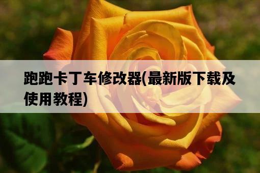 跑跑卡丁車修改器，最新版下載及使用教程-圖1
