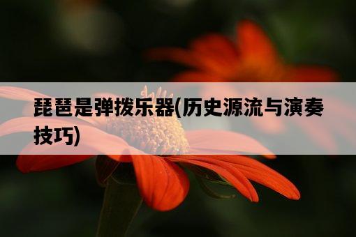 琵琶是彈撥樂器，歷史源流與演奏技巧-圖1