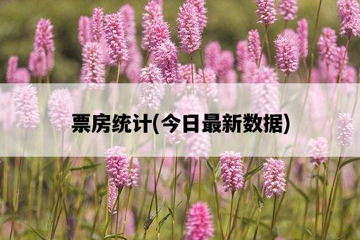 票房統計，今日最新數據-圖1