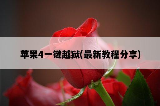 蘋果4一鍵越獄，最新教程分享-圖1