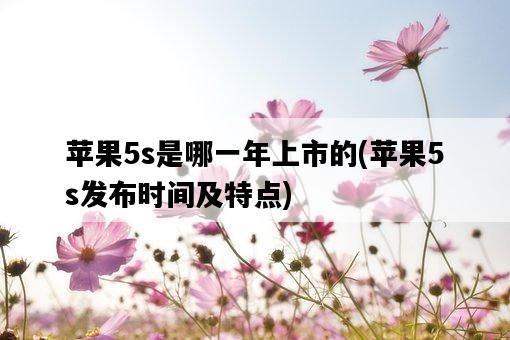 蘋果5s是哪一年上市的，蘋果5s發布時間及特點-圖1