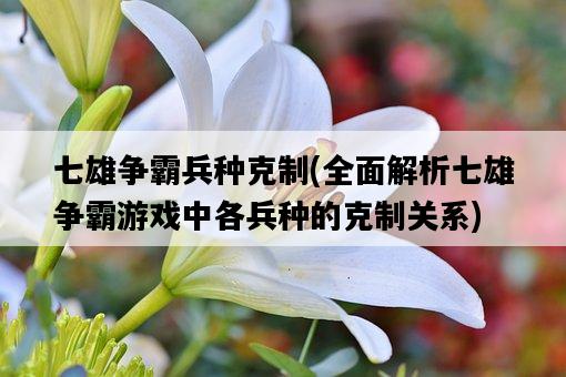 七雄爭霸兵種克制，全面解析七雄爭霸游戲中各兵種的克制關系-圖1