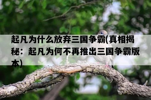 起凡為什么放棄三國爭霸，真相揭秘：起凡為何不再推出三國爭霸版本-圖1
