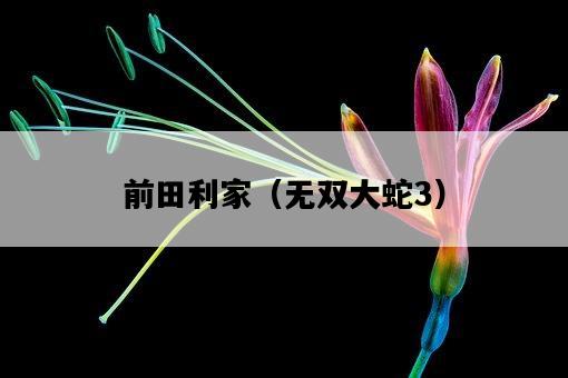 前田利家（無雙大蛇3）-圖1