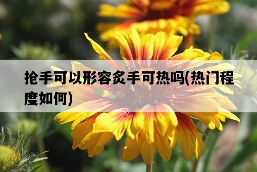 搶手可以形容炙手可熱嗎，熱門程度如何-圖1