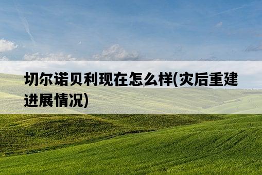 切爾諾貝利現在怎么樣，災后重建進展情況-圖1