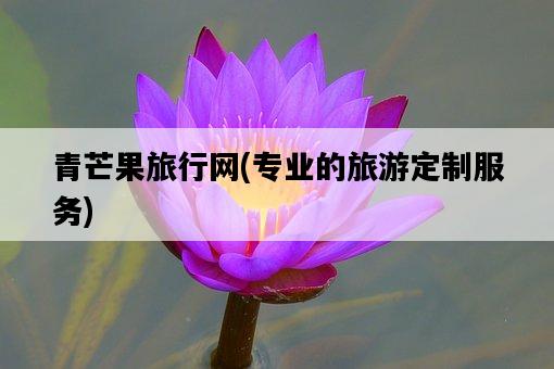 青芒果旅行網，專業的旅游定制服務-圖1
