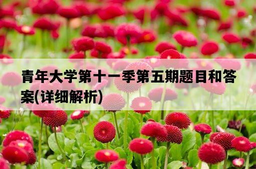 青年大學第十一季第五期題目和答案，詳細解析-圖1